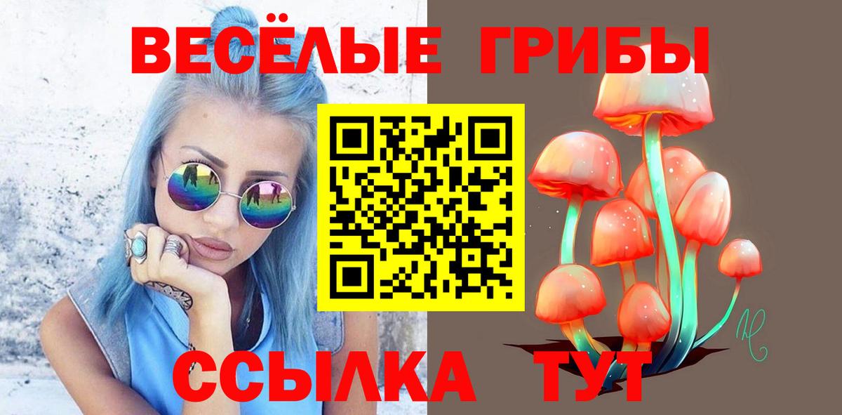 Псилоцибиновые грибы ЛСД Зеленокумск