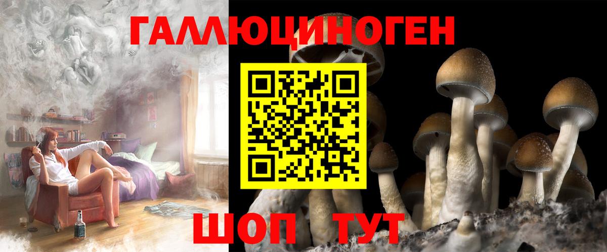 Зеленокумск  Псилоцибиновые грибы мухоморы  Вход с VPN 